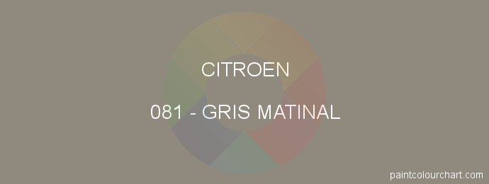 Citroen paint 081 Gris Matinal