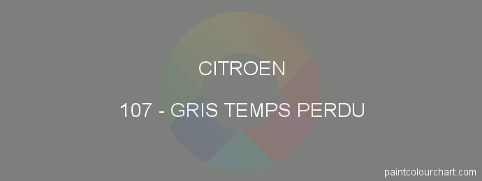 Citroen paint 107 Gris Temps Perdu