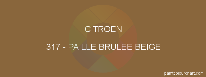 Citroen paint 317 Paille Brulee Beige