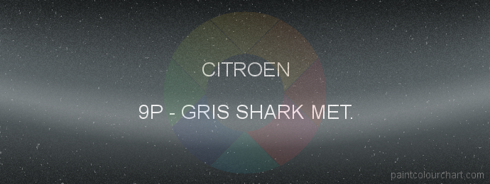 Citroen paint 9P Gris Shark Met.