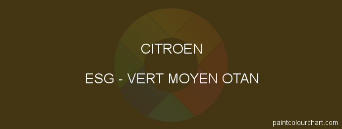 Citroen paint ESG Vert Moyen Otan