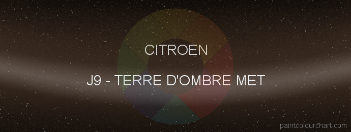 Citroen paint J9 Terre D'ombre Met