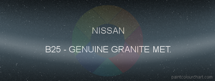 Nissan paint B25 Genuine Granite Met.