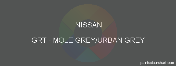 Nissan paint GRT Mole Grey/urban Grey