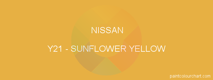 Nissan paint Y21 Sunflower Yellow