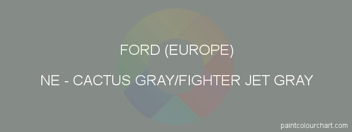 Ford (europe) paint NE Cactus Gray/fighter Jet Gray
