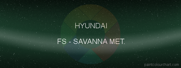 Hyundai paint FS Savanna Met.