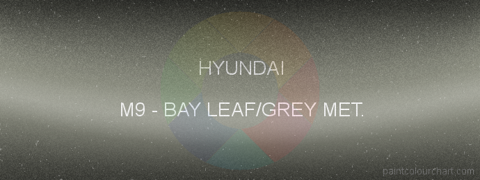 Hyundai paint M9 Bay Leaf/grey Met.