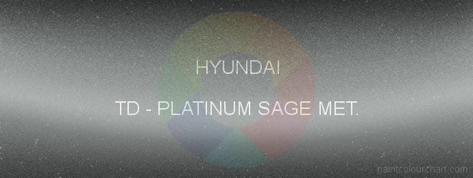 Hyundai paint TD Platinum Sage Met.