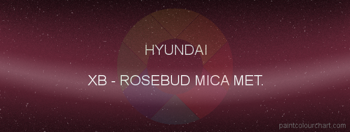 Hyundai paint XB Rosebud Mica Met.