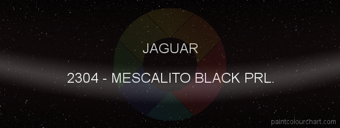 Jaguar paint 2304 Mescalito Black Prl.