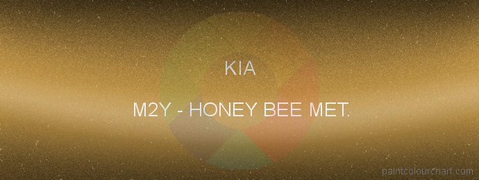 Kia paint M2Y Honey Bee Met.