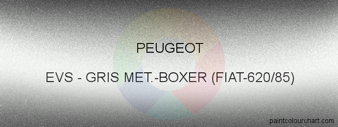 Peugeot paint EVS Gris Met.-boxer (fiat-620/85)