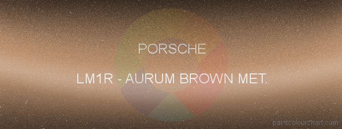 Porsche paint LM1R Aurum Brown Met.