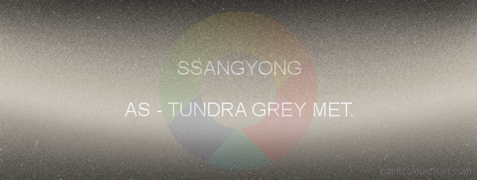 Ssangyong paint AS Tundra Grey Met.
