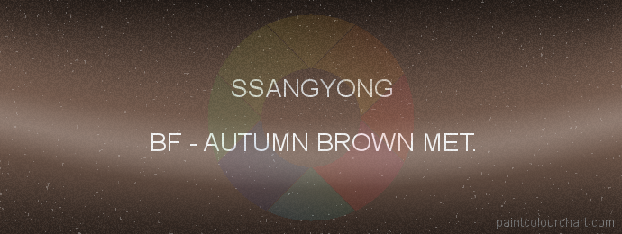 Ssangyong paint BF Autumn Brown Met.