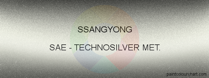 Ssangyong paint SAE Technosilver Met.
