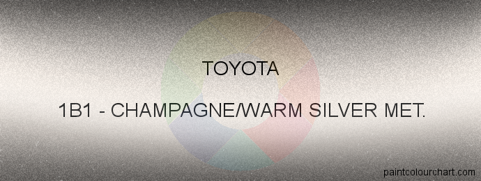 Toyota paint 1B1 Champagne/warm Silver Met.