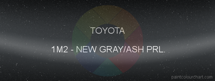 Toyota paint 1M2 New Gray/ash Prl.