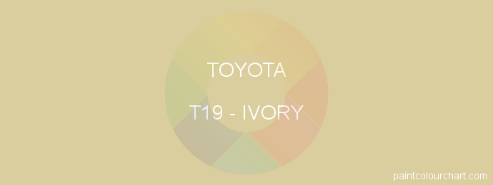Toyota paint T19 Ivory