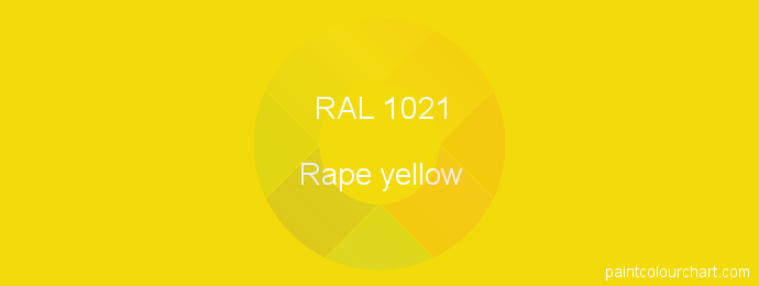 RAL 1021 Painting RAL 1021 Rape Yellow PaintColourChart RAL 1021 Painting RAL 1021 Rape Yellow PaintColourChart